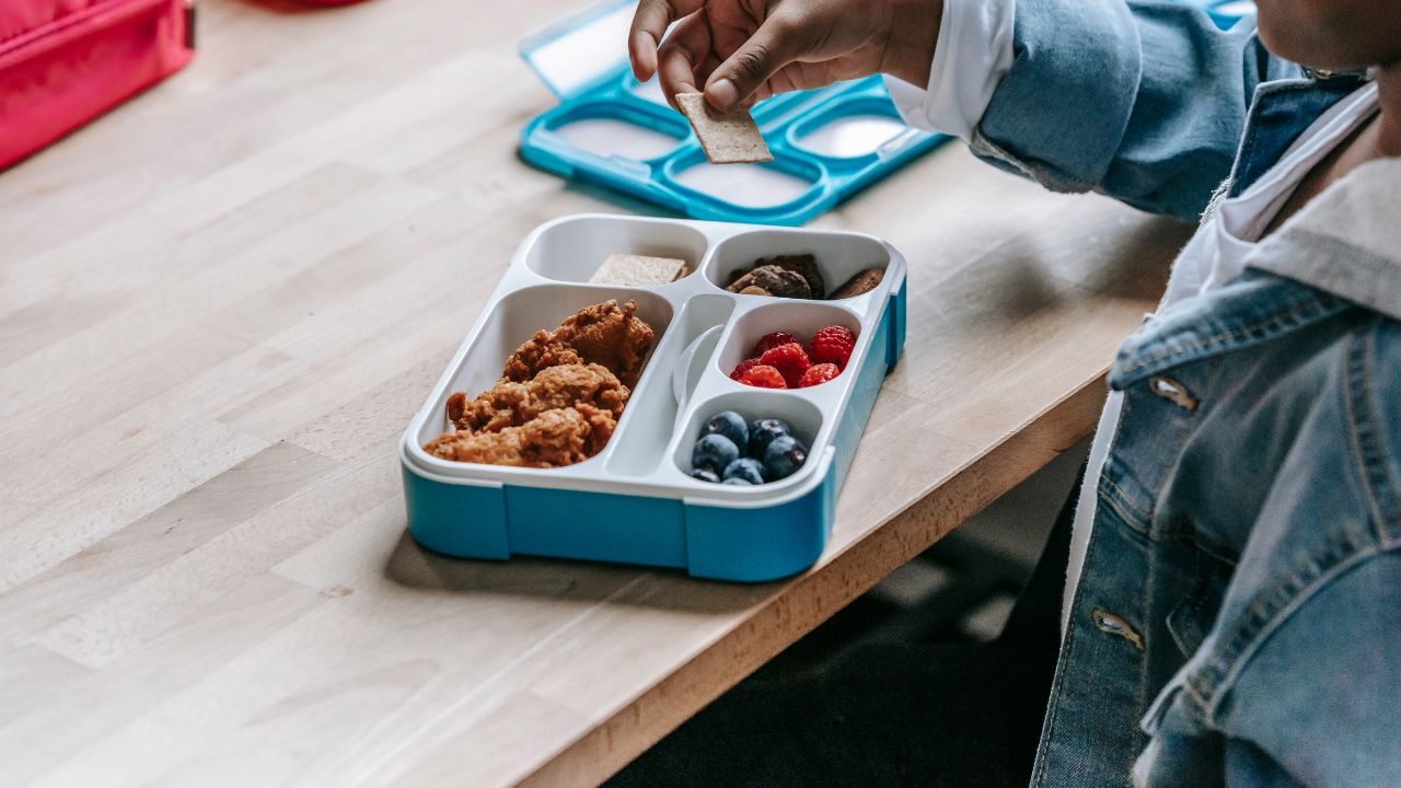 Types of Wholesale Lunch Boxes in Bulk